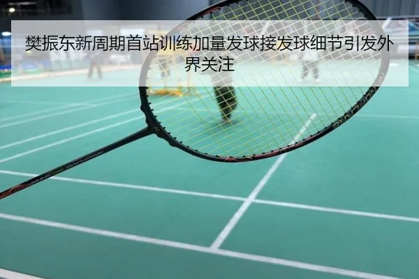 樊振东新周期首站训练加量发球接发球细节引发外界关注